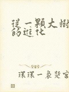 从一颗大树开始的进化