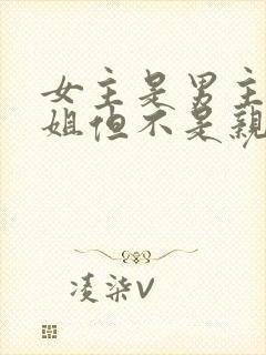 女主是男主的姐姐但不是亲的