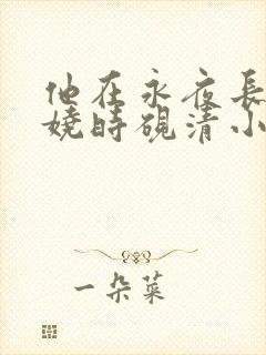 他在永夜长眠苏娆时砚清小说阅读