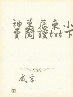 神墓辰东小说免费阅读txt下载