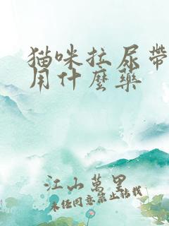 猫咪拉尿带点血用什么药