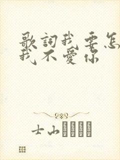 歌词我要怎么说我不爱你
