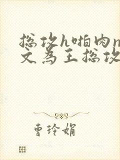 总攻h啪肉np文为王总攻