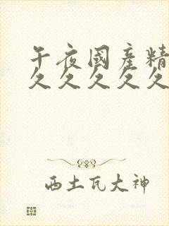 午夜国产精品久久久久久久