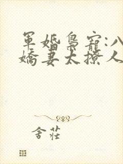 军婚枭宠:八零娇妻太撩人