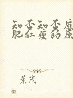 知否知否应是绿肥红瘦的原著