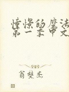 憧憬的魔法少女第一季中文版