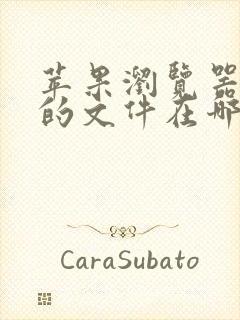 苹果浏览器下载的文件在哪里看