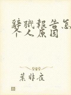 辞职报告怎么写个人原因