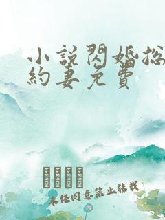 小说闪婚总裁契约妻免费