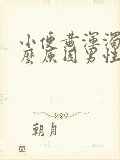 小便黄浑浊是什么原因男性