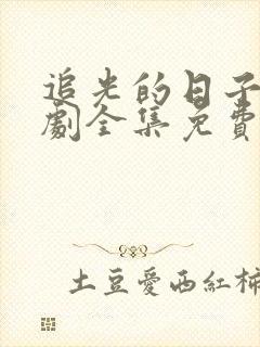 追光的日子电视剧全集免费观看