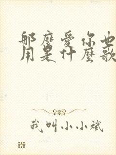 那么爱你也没有用是什么歌