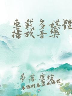 车载多媒体无法播放音乐