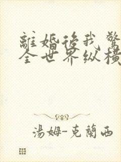 离婚后我惊艳了全世界纵横小说