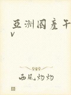 亚洲国产午夜av