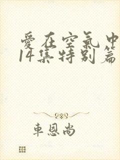 爱在空气中泰剧14集特别篇