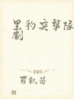 黑豹突击队连续剧