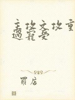 主攻文攻重生悔过宠受