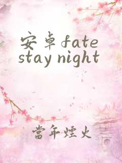 安卓fate stay night