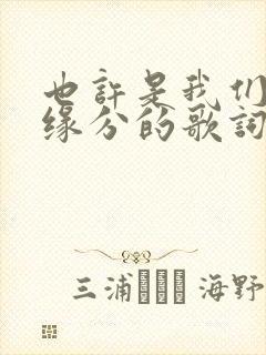 也许是我们没有缘分的歌词