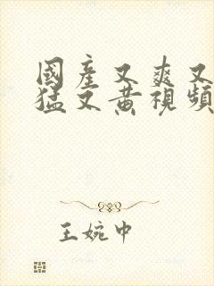 国产又爽又粗又猛又黄视频