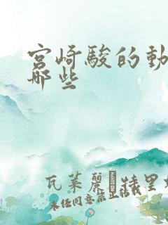 宫崎骏的动画有哪些