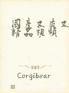 国产又爽又黄的精品视频