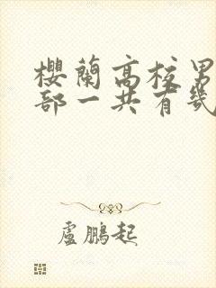 樱兰高校男公关部一共有几季