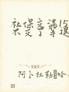 社保交满15年不交了等退休可以吗