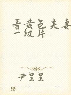 看黄色夫妻生活一级片