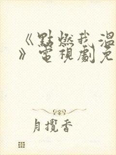 《点燃我温暖你》电视剧免费观看