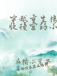 穿越重生杨家将收后宫的小说