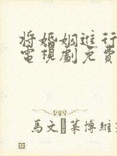 将婚姻进行到底电视剧免费播放