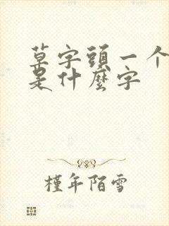 草字头一个从字是什么字