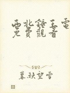 西北锤王电视剧免费观看