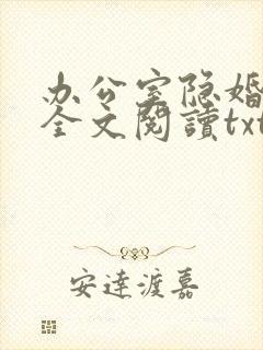 办公室隐婚免费全文阅读txt下载