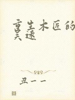 重生木匠的小说吴远