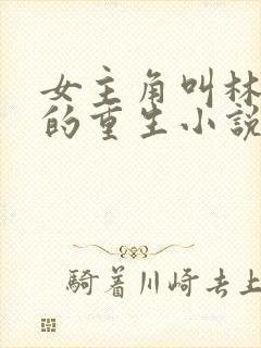 女主角叫林清婉的重生小说