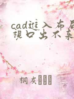 cad进入布局视口出不来了