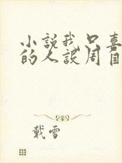 小说我只喜欢你的人设周自珩全文阅读免费