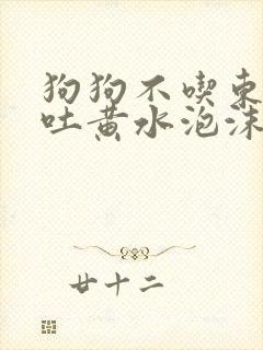 狗狗不吃东西呕吐黄水泡沫粘液