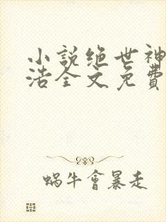 小说绝世神医陈浩全文免费阅读