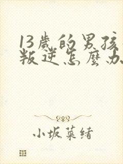 13岁的男孩子叛逆怎么办