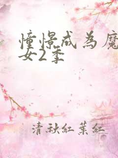 憧憬成为魔法少女2季