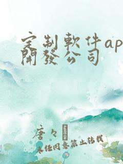 定制软件app开发公司