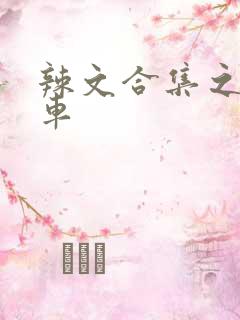 辣文合集之公交车