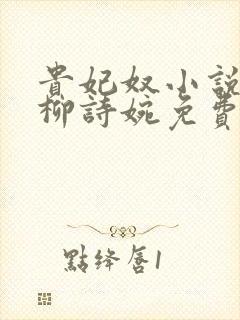 贵妃奴小说by柳诗婉免费阅读笔趣阁