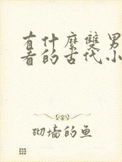 有什么双男主好看的古代小说