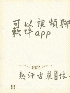 可以视频聊天的软件app